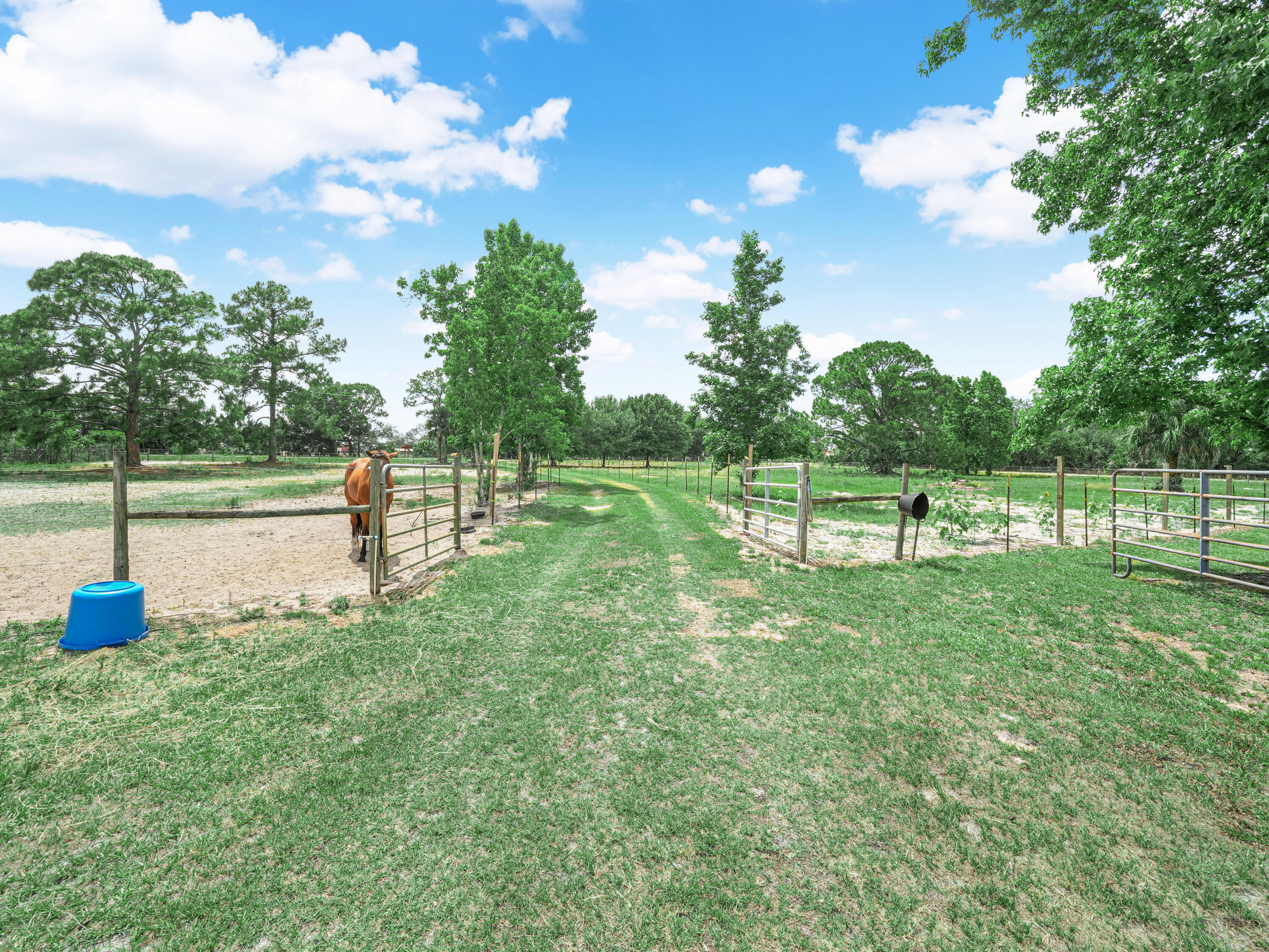4002 Everhigh Acres Road Clewiston, FL 33440 - Photo 4 of 45 DSC04713-2