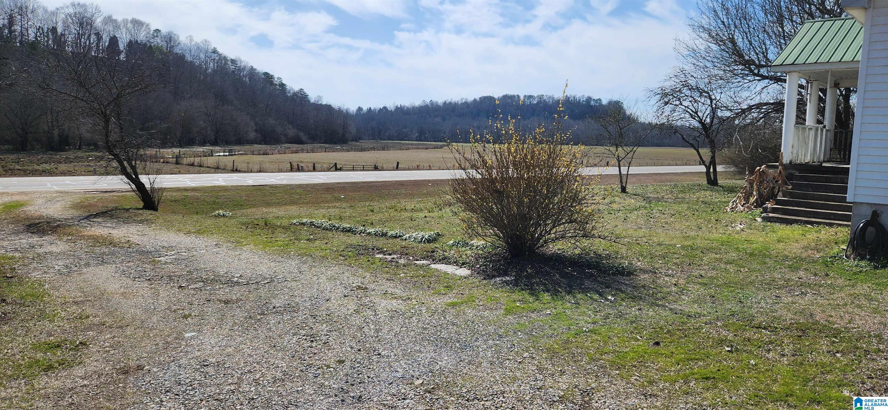 11103 Highway 144 Ragland, AL 35131 - Photo 20 of 31
