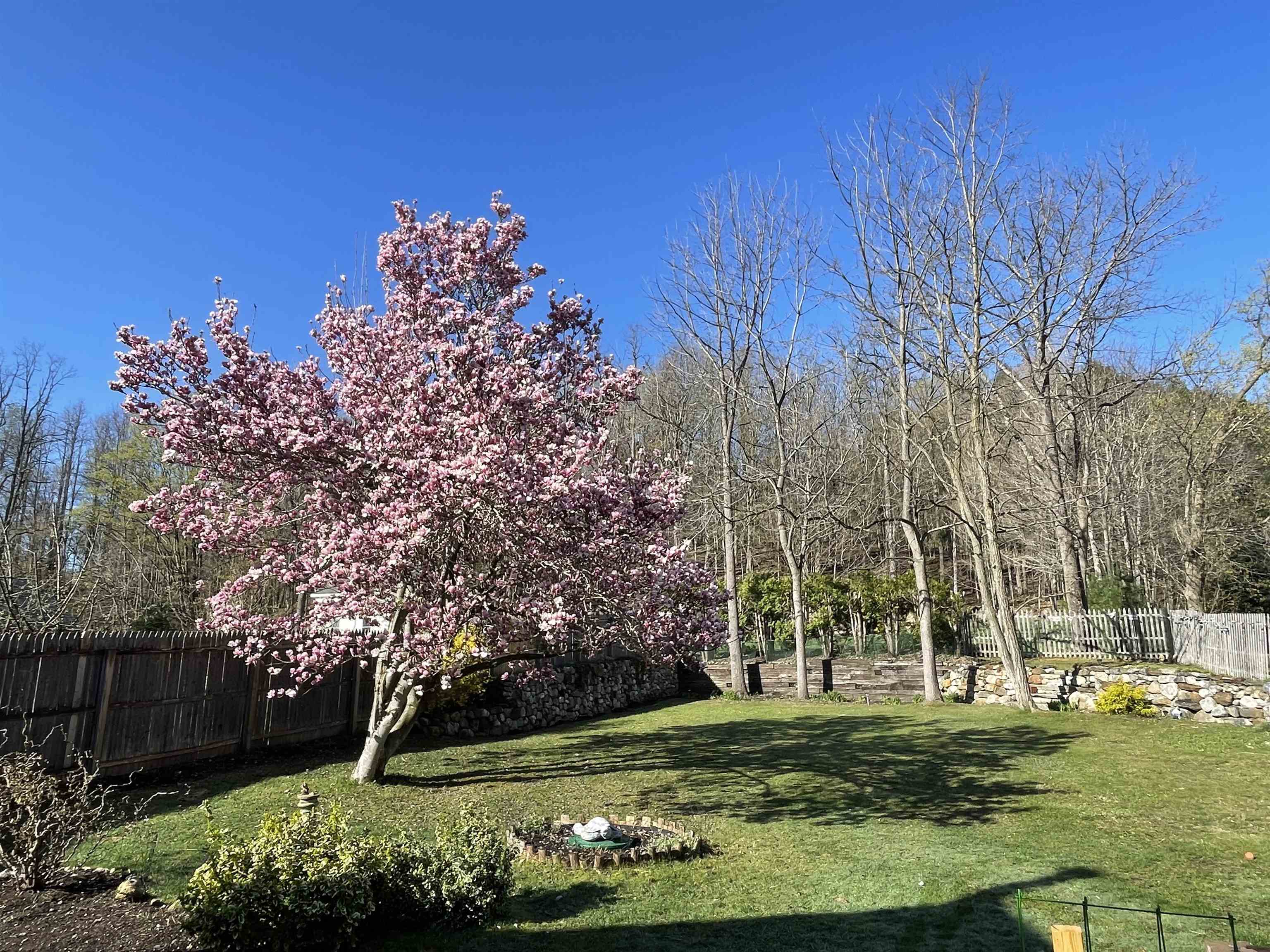 30 South Main Street Danby, VT 05739 - Photo 46 of 48