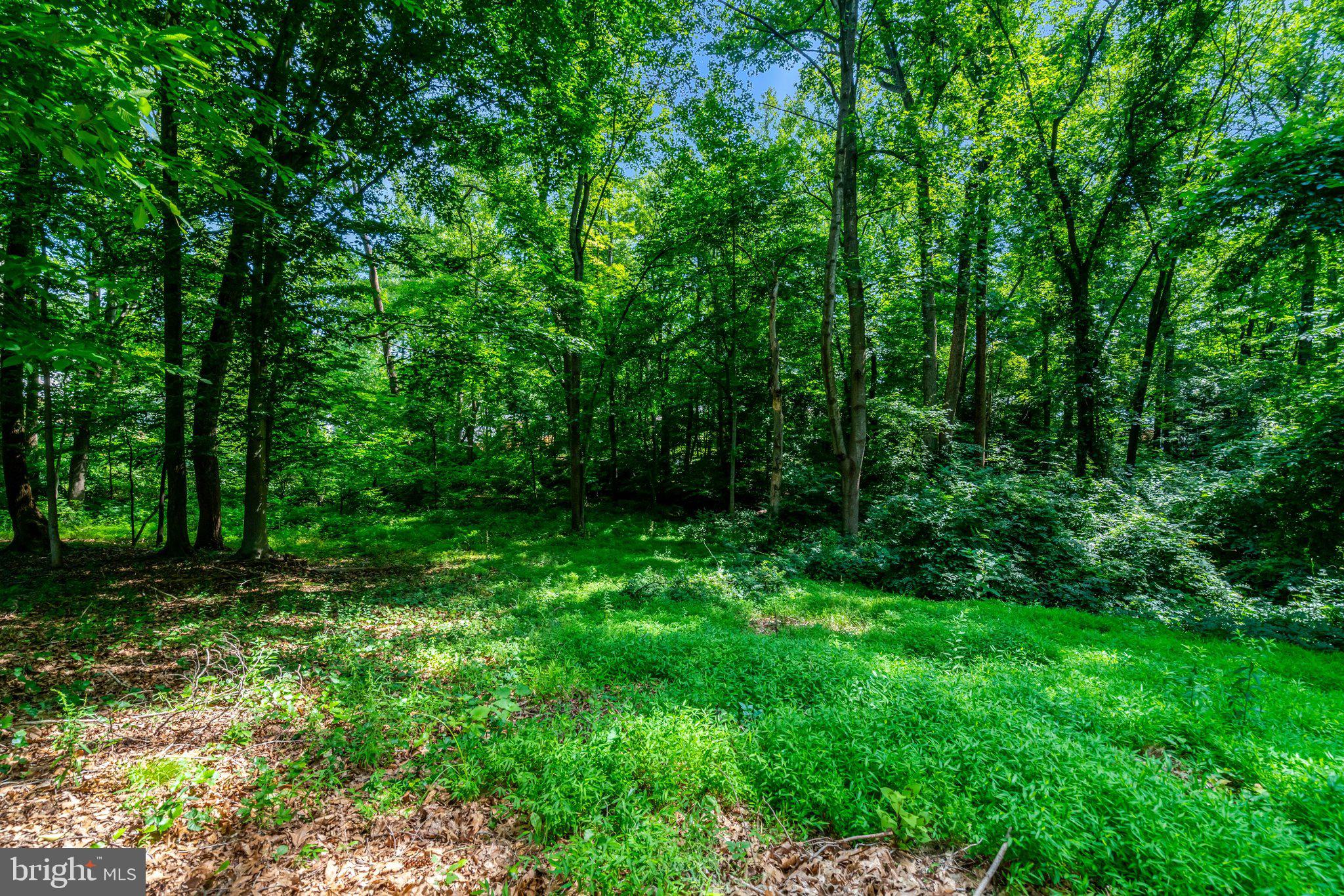 7217 Reservation Drive Springfield, VA 22153 - Photo 49 of 57