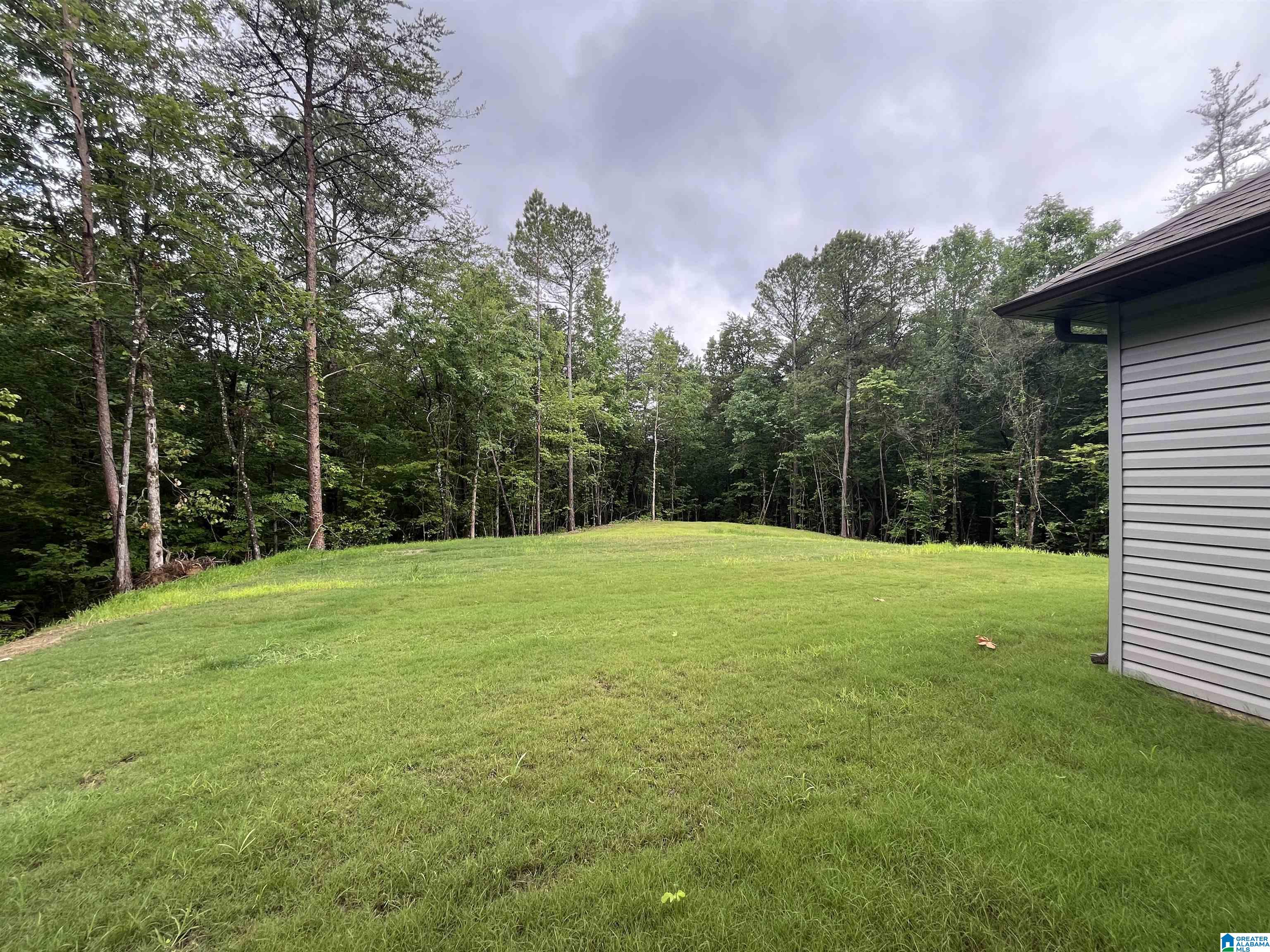 563 Cornerstone Drive Calera, AL 35040 - Photo 52 of 54