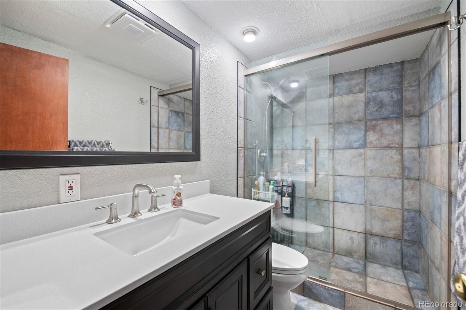 609 Gold Flake Terrace Bailey, CO 80421 - Photo 19 of 47 a bathroom with a sink a toilet and shower