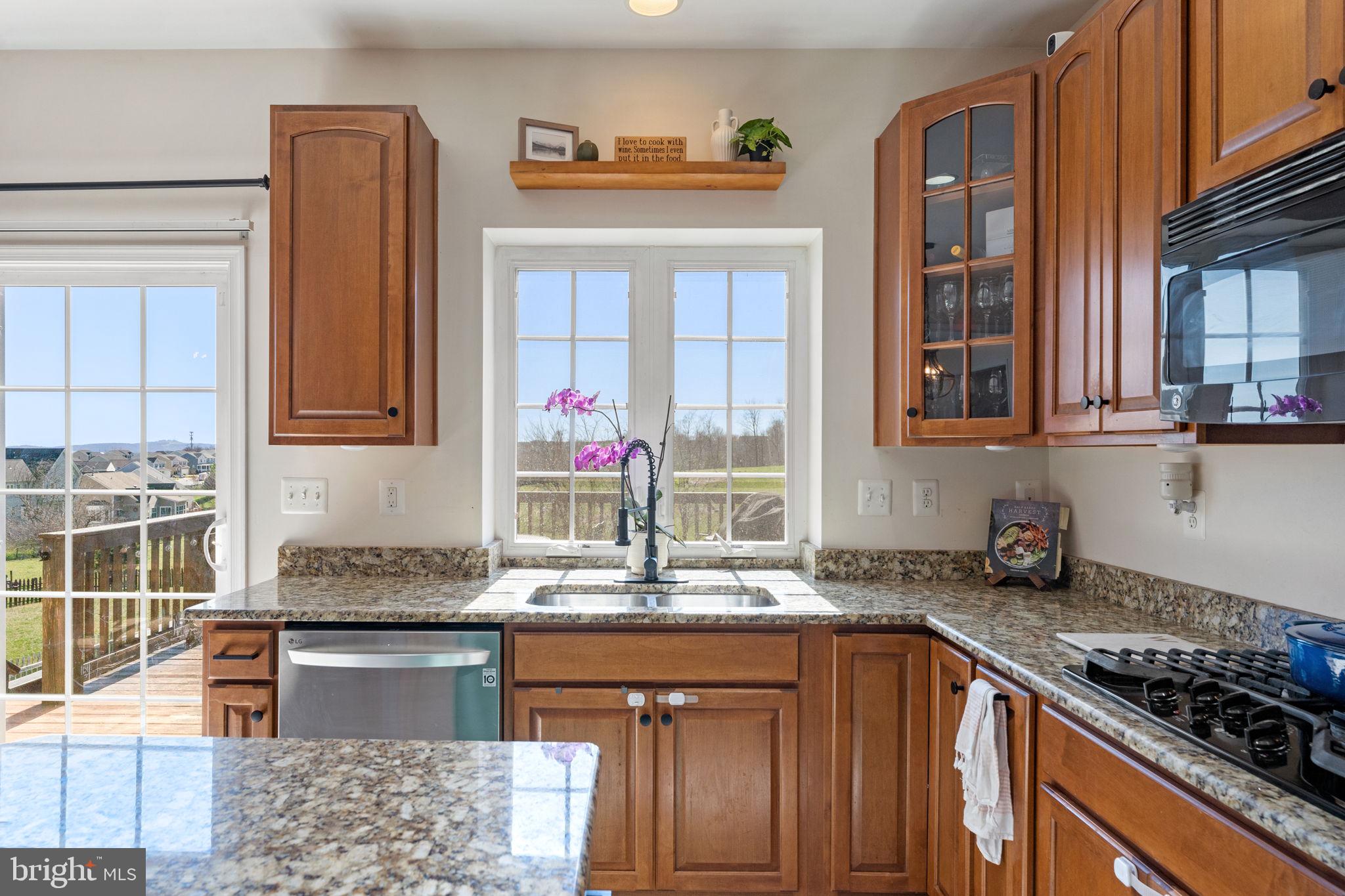 141 Standpipe Road Culpeper, VA 22701 - Photo 24 of 59 Gourmet Kitchen