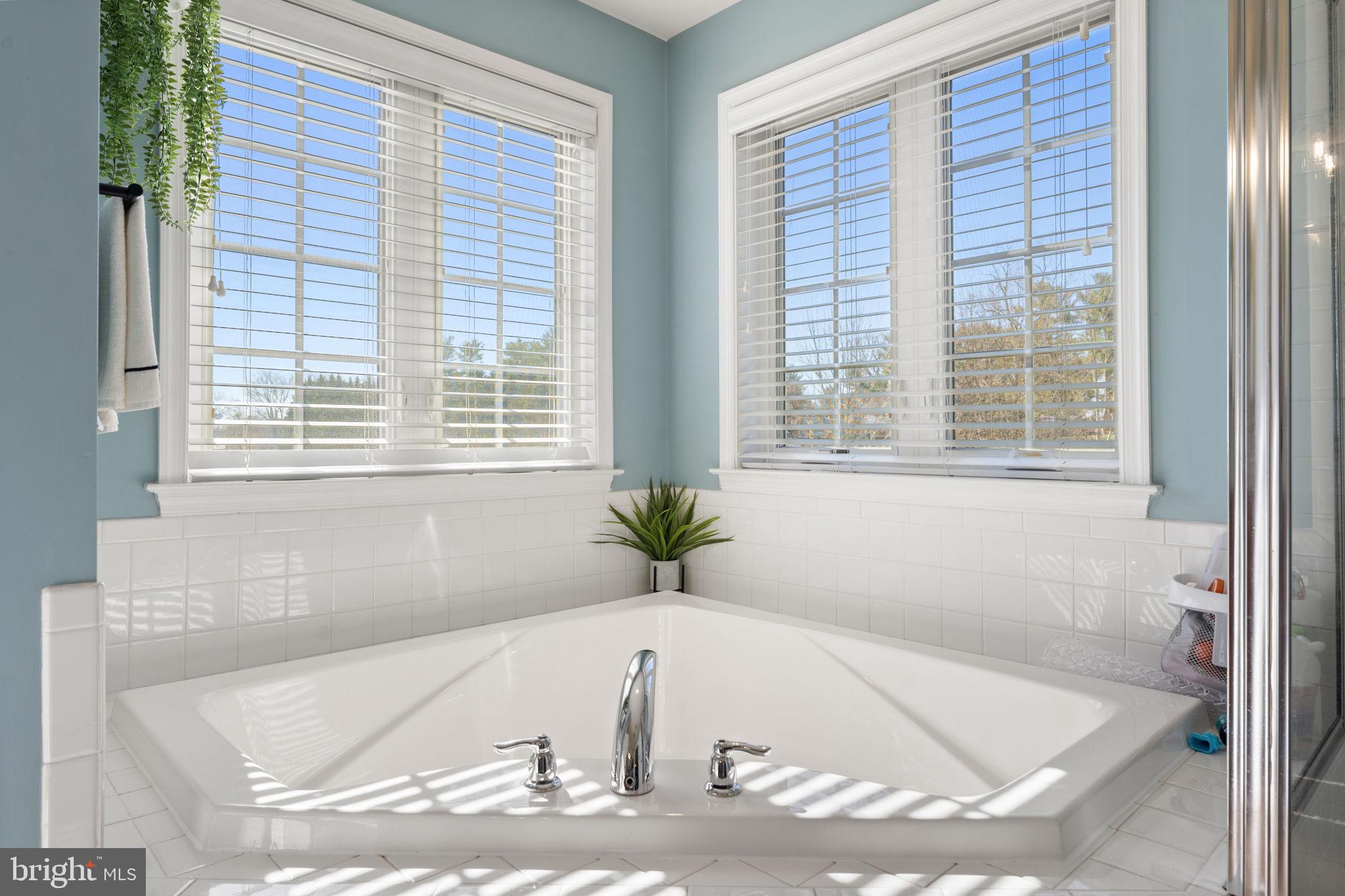 141 Standpipe Road Culpeper, VA 22701 - Photo 33 of 59 Soaking Tub
