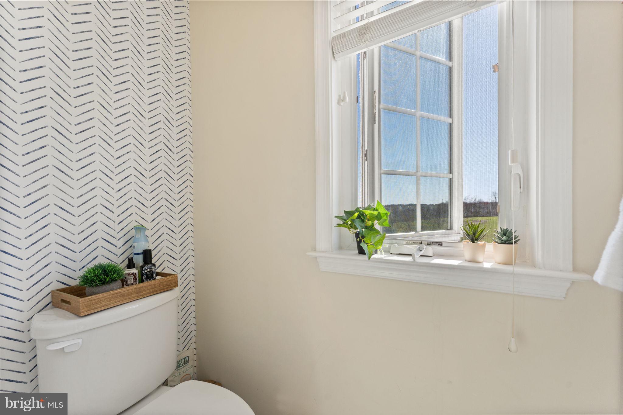 141 Standpipe Road Culpeper, VA 22701 - Photo 35 of 59 Separate Water closet