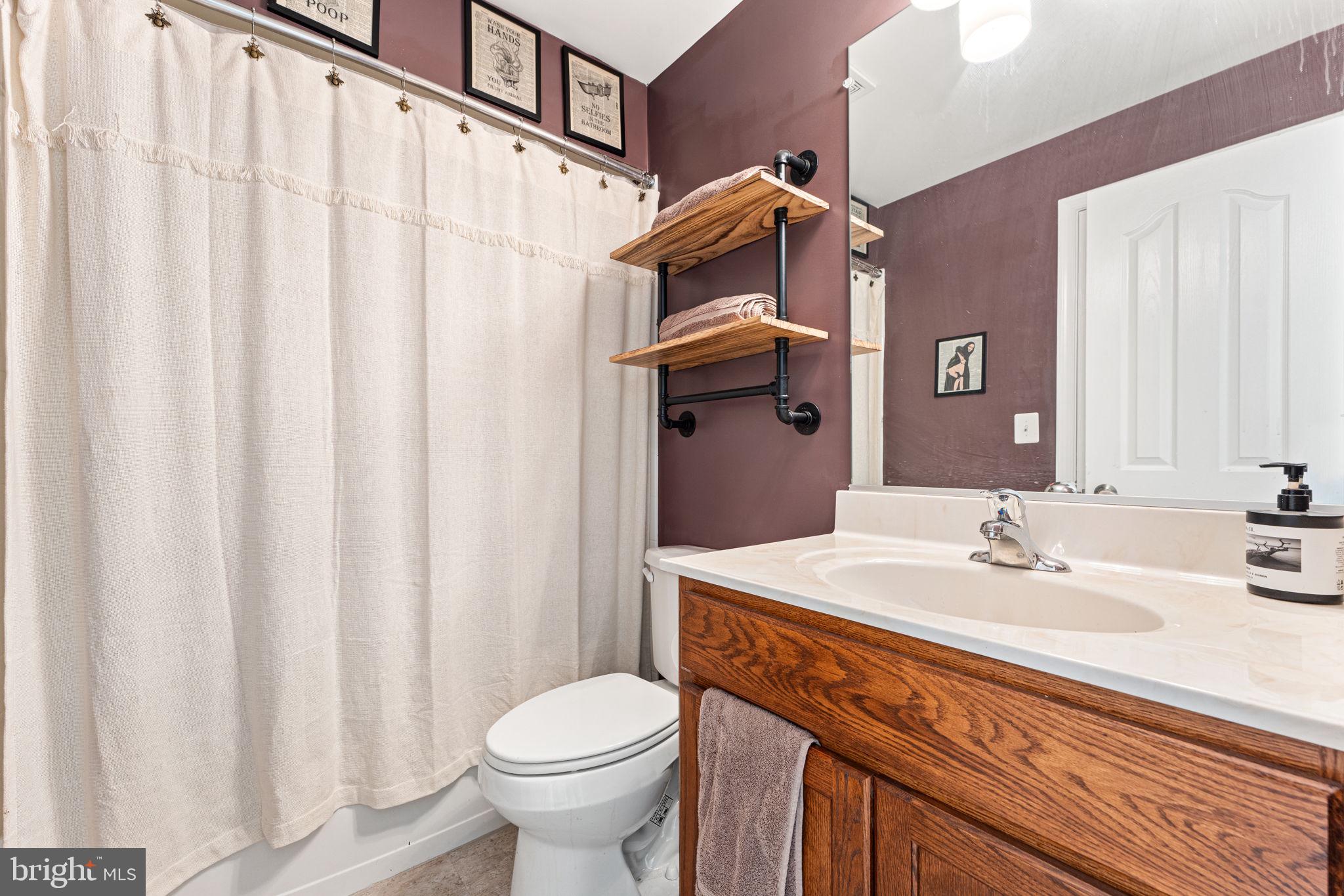 141 Standpipe Road Culpeper, VA 22701 - Photo 48 of 59 Lower level Full Bath