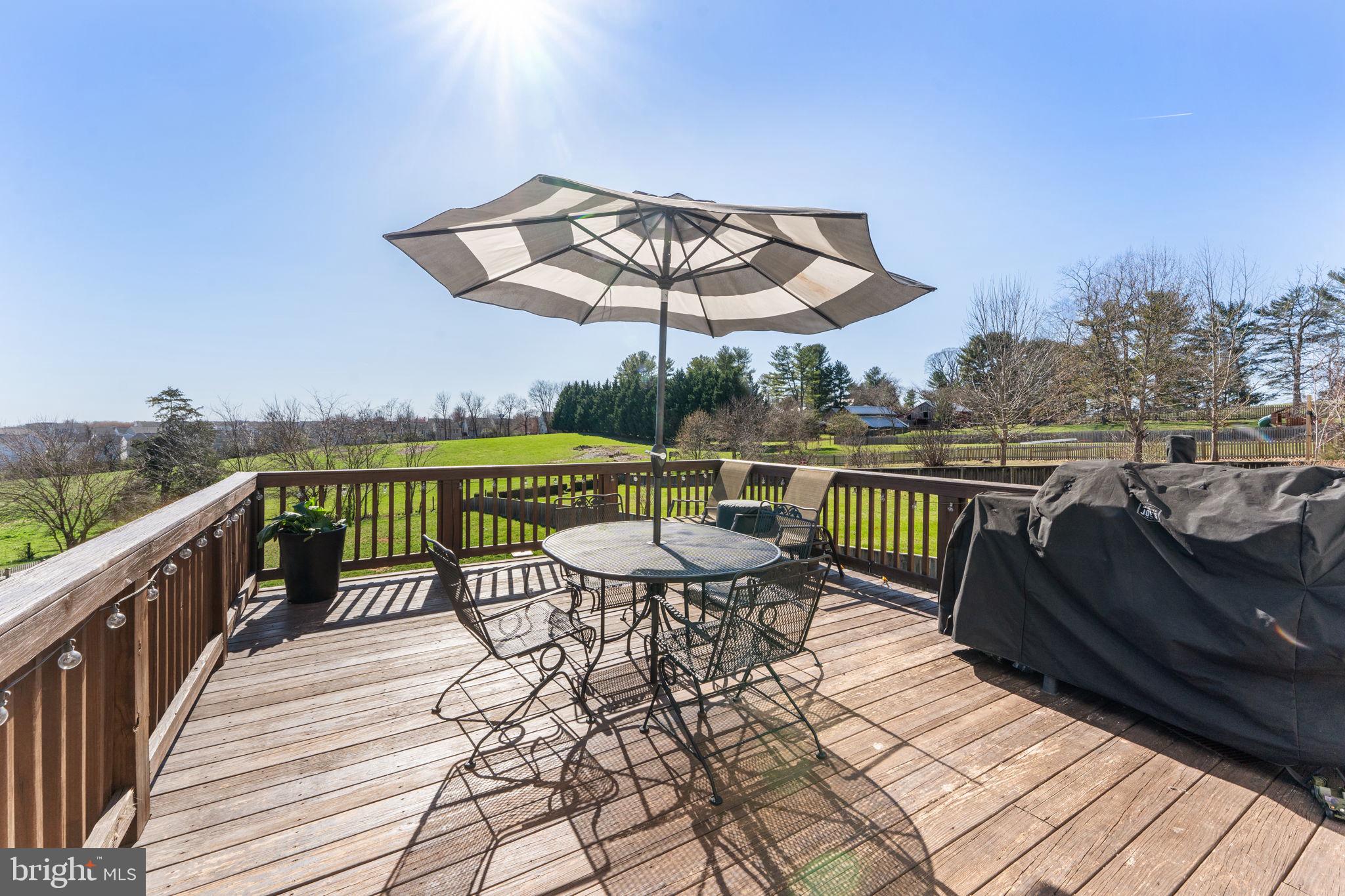 141 Standpipe Road Culpeper, VA 22701 - Photo 50 of 59 Large Deck off Kitchen