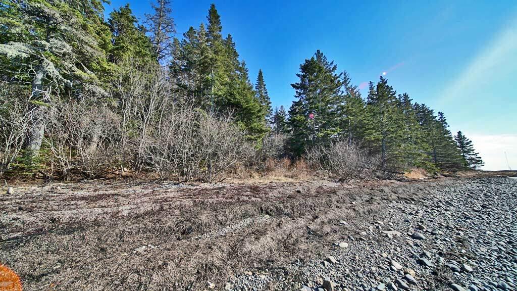 109 Little Machias Road Cutler, ME 04626 - Photo 10 of 93 cutler-me-log-home-67