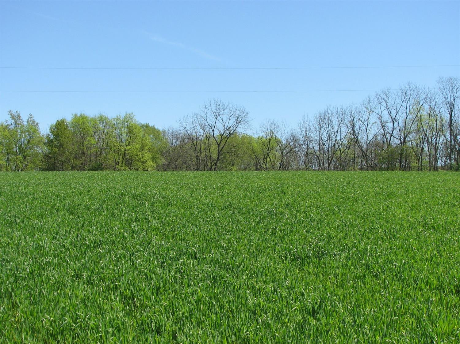 1037 Roseberry Road Carlisle, KY 40311 - Photo 7 of 23 Listing Photo