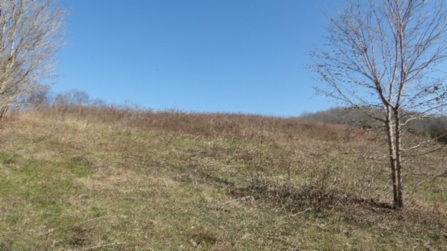 0 Spring Fork Road Granville, TN 38564 - Photo 11 of 79 Gallery Image 11
