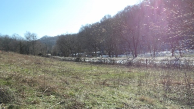 0 Spring Fork Road Granville, TN 38564 - Photo 13 of 79 Gallery Image 13