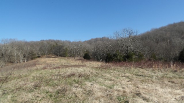 0 Spring Fork Road Granville, TN 38564 - Photo 14 of 79 Gallery Image 14