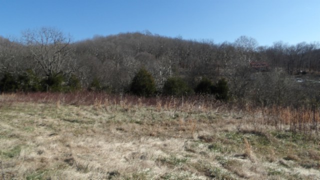 0 Spring Fork Road Granville, TN 38564 - Photo 15 of 79 Gallery Image 15