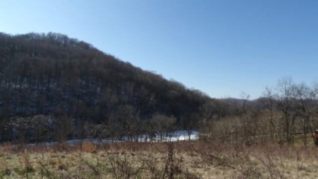 0 Spring Fork Road Granville, TN 38564 - Photo 16 of 79 Gallery Image 16
