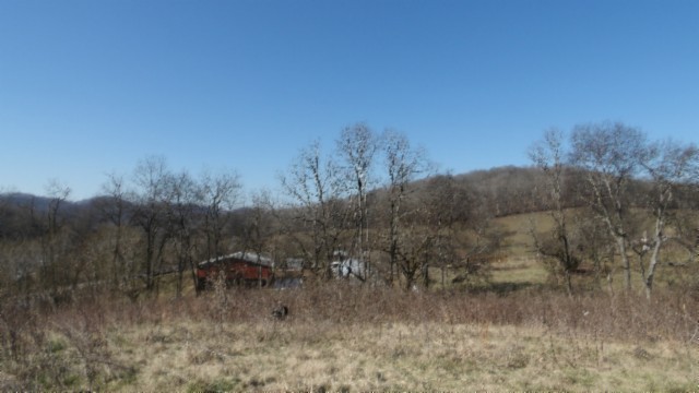 0 Spring Fork Road Granville, TN 38564 - Photo 17 of 79 Gallery Image 17