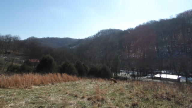 0 Spring Fork Road Granville, TN 38564 - Photo 19 of 79 Gallery Image 19