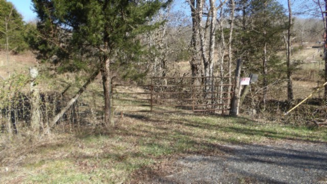 0 Spring Fork Road Granville, TN 38564 - Photo 2 of 79 Gallery Image 2