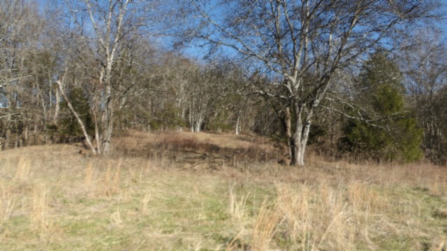 0 Spring Fork Road Granville, TN 38564 - Photo 21 of 79 Gallery Image 21