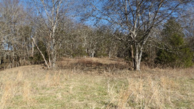 0 Spring Fork Road Granville, TN 38564 - Photo 23 of 79 Gallery Image 23