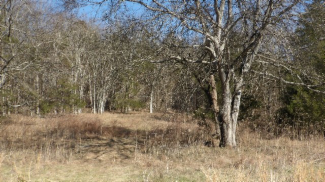 0 Spring Fork Road Granville, TN 38564 - Photo 24 of 79 Gallery Image 24