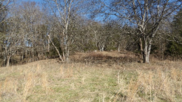 0 Spring Fork Road Granville, TN 38564 - Photo 25 of 79 Gallery Image 25