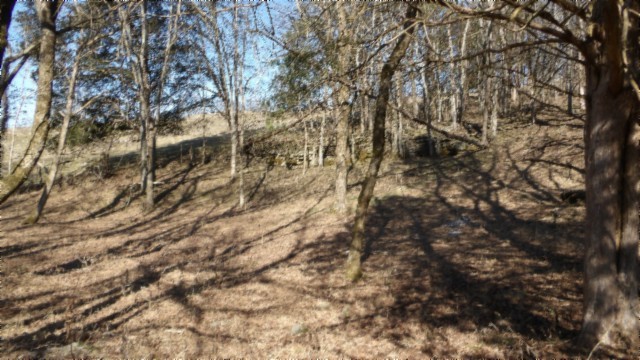 0 Spring Fork Road Granville, TN 38564 - Photo 26 of 79 Gallery Image 26
