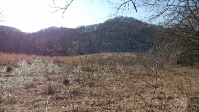 0 Spring Fork Road Granville, TN 38564 - Photo 27 of 79 Gallery Image 27