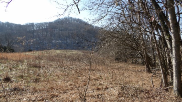0 Spring Fork Road Granville, TN 38564 - Photo 29 of 79 Gallery Image 29