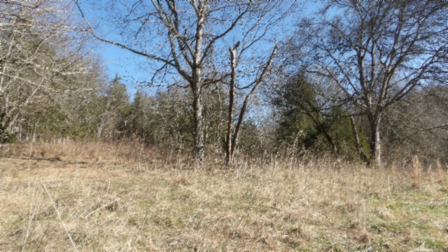 0 Spring Fork Road Granville, TN 38564 - Photo 30 of 79 Gallery Image 30