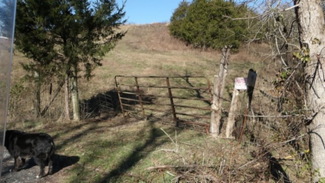 0 Spring Fork Road Granville, TN 38564 - Photo 3 of 79 Gallery Image 3