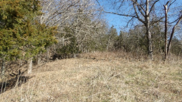 0 Spring Fork Road Granville, TN 38564 - Photo 31 of 79 Gallery Image 31