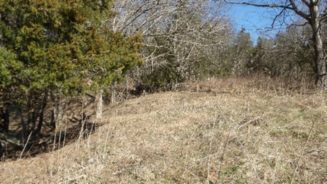 0 Spring Fork Road Granville, TN 38564 - Photo 32 of 79 Gallery Image 32