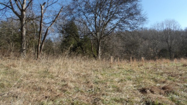 0 Spring Fork Road Granville, TN 38564 - Photo 33 of 79 Gallery Image 33