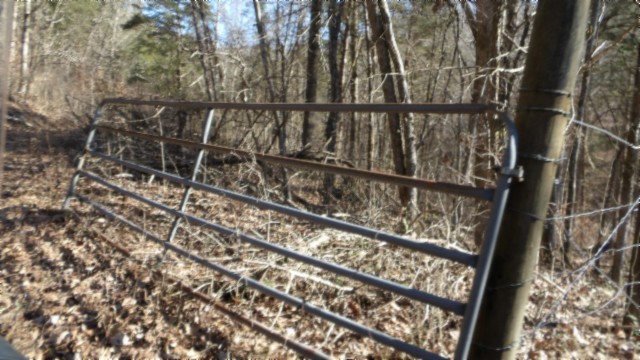 0 Spring Fork Road Granville, TN 38564 - Photo 34 of 79 Gallery Image 34