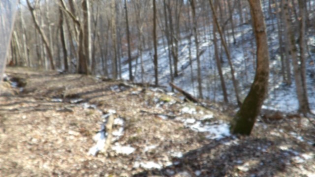 0 Spring Fork Road Granville, TN 38564 - Photo 38 of 79 Gallery Image 38