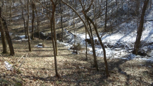 0 Spring Fork Road Granville, TN 38564 - Photo 39 of 79 Gallery Image 39