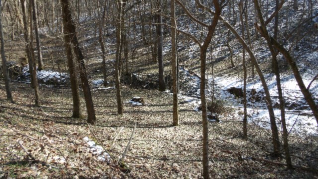 0 Spring Fork Road Granville, TN 38564 - Photo 40 of 79 Gallery Image 40