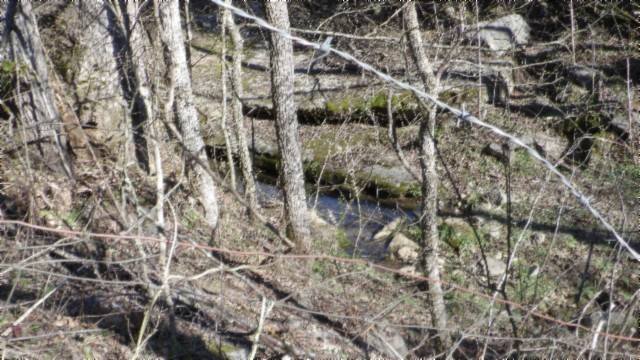 0 Spring Fork Road Granville, TN 38564 - Photo 4 of 79 Gallery Image 4