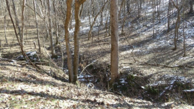 0 Spring Fork Road Granville, TN 38564 - Photo 41 of 79 Gallery Image 41