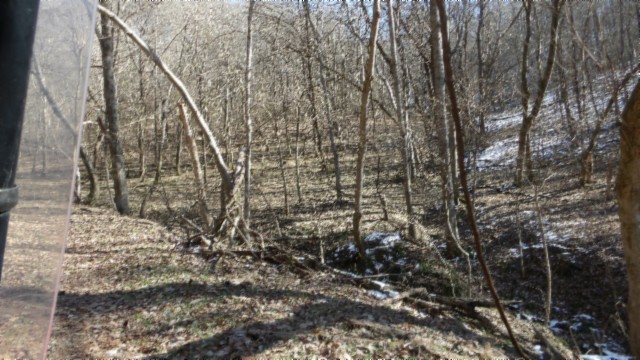0 Spring Fork Road Granville, TN 38564 - Photo 42 of 79 Gallery Image 42