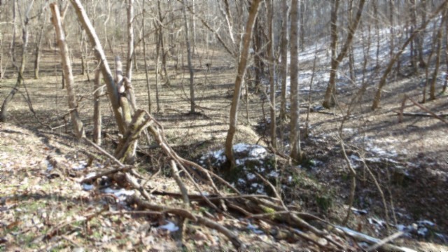 0 Spring Fork Road Granville, TN 38564 - Photo 43 of 79 Gallery Image 43