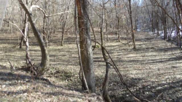 0 Spring Fork Road Granville, TN 38564 - Photo 44 of 79 Gallery Image 44