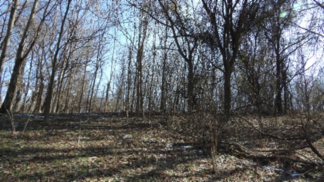0 Spring Fork Road Granville, TN 38564 - Photo 46 of 79 Gallery Image 46