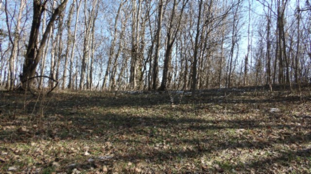0 Spring Fork Road Granville, TN 38564 - Photo 47 of 79 Gallery Image 47