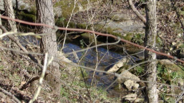 0 Spring Fork Road Granville, TN 38564 - Photo 5 of 79 Gallery Image 5