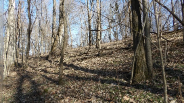 0 Spring Fork Road Granville, TN 38564 - Photo 52 of 79 Gallery Image 52