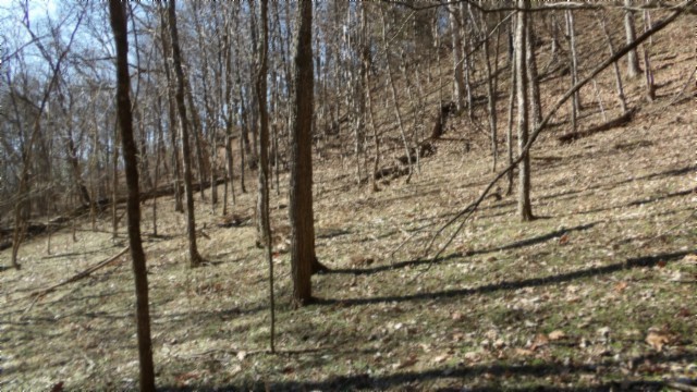 0 Spring Fork Road Granville, TN 38564 - Photo 53 of 79 Gallery Image 53