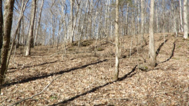 0 Spring Fork Road Granville, TN 38564 - Photo 55 of 79 Gallery Image 55