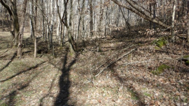 0 Spring Fork Road Granville, TN 38564 - Photo 56 of 79 Gallery Image 56