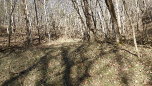 0 Spring Fork Road Granville, TN 38564 - Photo 57 of 79 Gallery Image 57